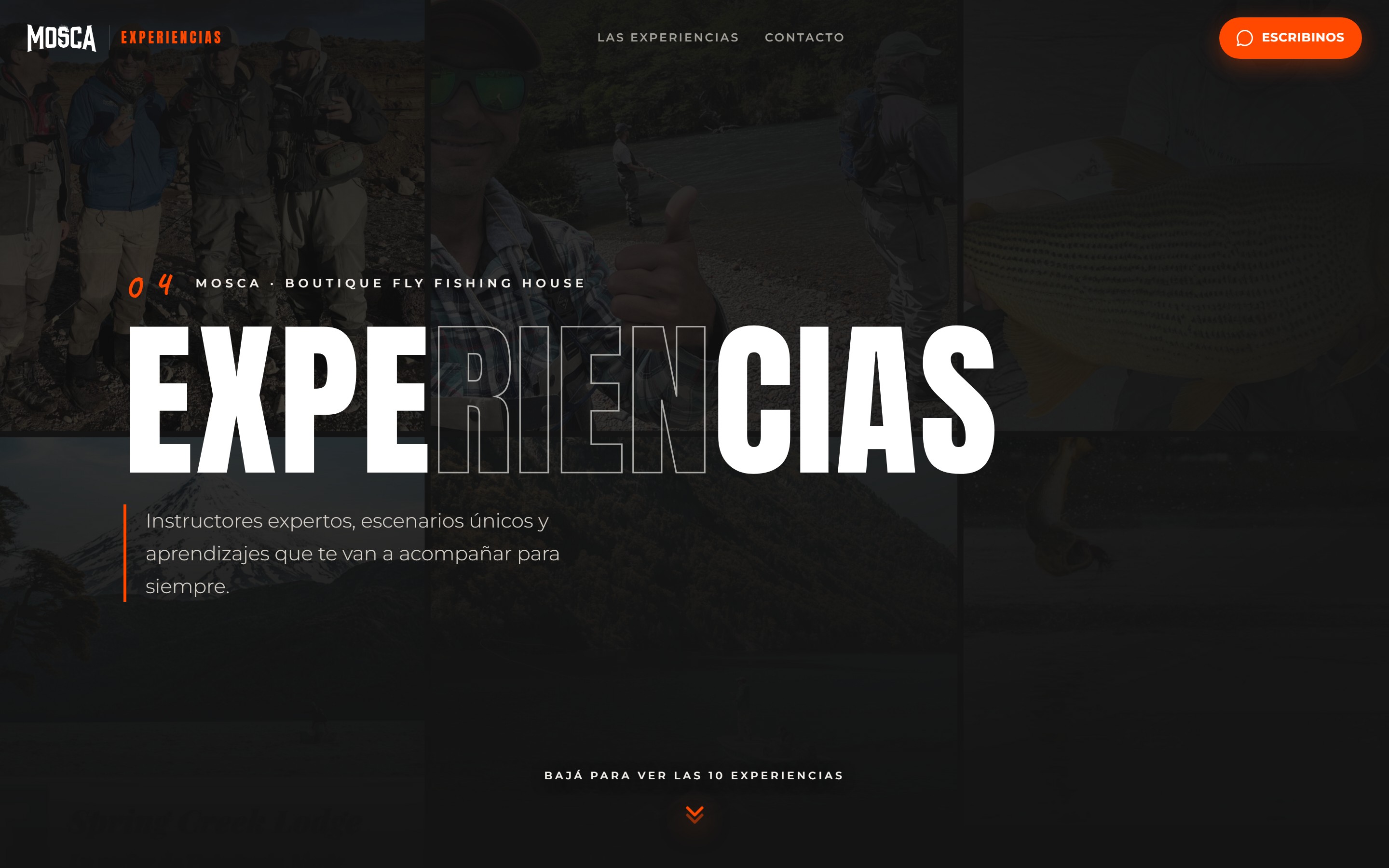 Experiencias Mosca